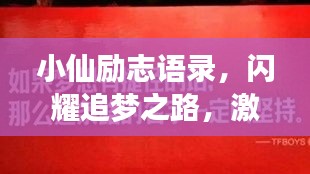小仙勵志語錄，閃耀追夢之路，激發(fā)無限潛能！