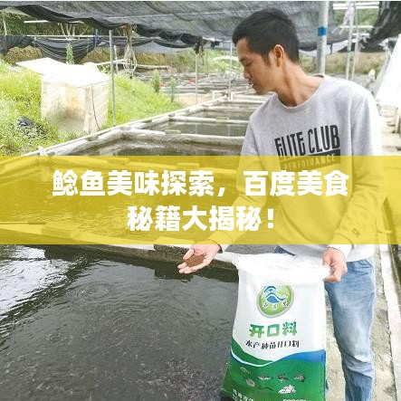 鯰魚美味探索，百度美食秘籍大揭秘！