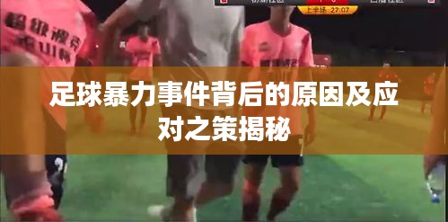 足球暴力事件背后的原因及應對之策揭秘