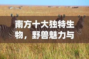 南方十大獨(dú)特生物，野獸魅力與生態(tài)價(jià)值揭秘