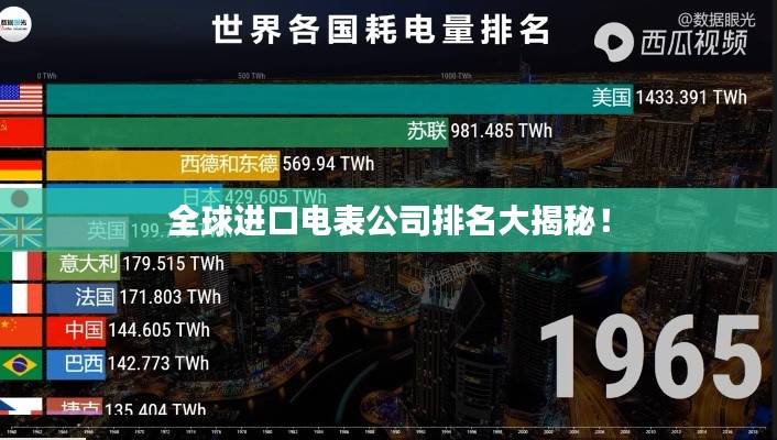全球進(jìn)口電表公司排名大揭秘！