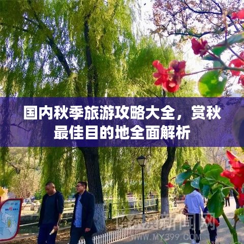 國內(nèi)秋季旅游攻略大全，賞秋最佳目的地全面解析