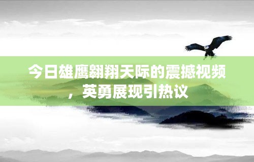 今日雄鷹翱翔天際的震撼視頻，英勇展現(xiàn)引熱議