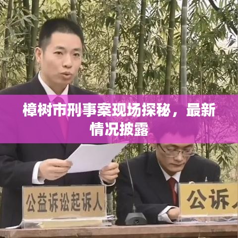 樟樹市刑事案現(xiàn)場探秘，最新情況披露
