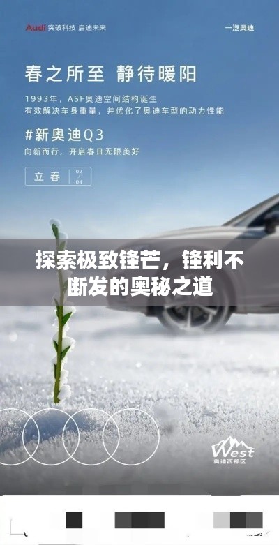 探索極致鋒芒，鋒利不斷發(fā)的奧秘之道