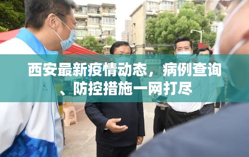 第11頁