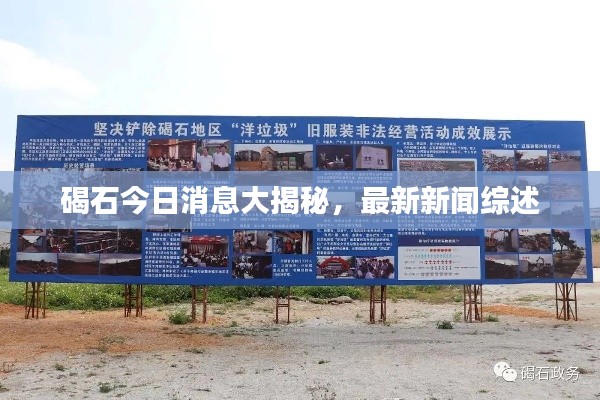 碣石今日消息大揭秘，最新新聞綜述