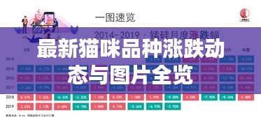 衣不兼彩