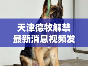 后會(huì)難期