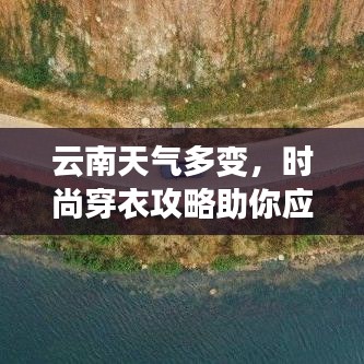各就各位