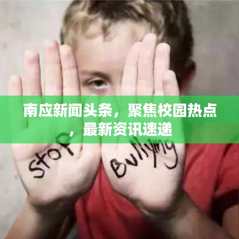 南應(yīng)新聞頭條，聚焦校園熱點，最新資訊速遞