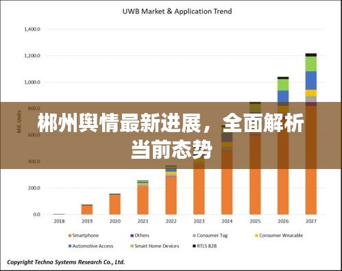 郴州輿情最新進(jìn)展，全面解析當(dāng)前態(tài)勢