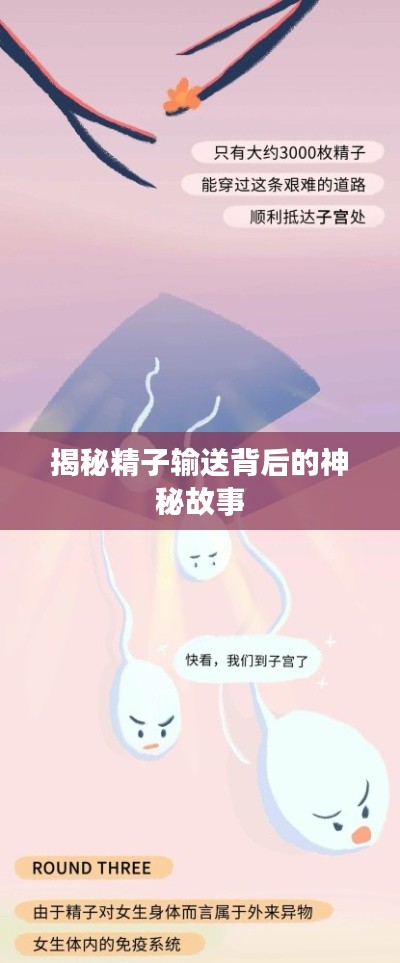 揭秘精子輸送背后的神秘故事