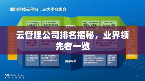 云管理公司排名揭秘，業(yè)界領(lǐng)先者一覽