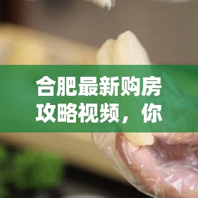 合肥最新購房攻略視頻，你的購房指南全解析