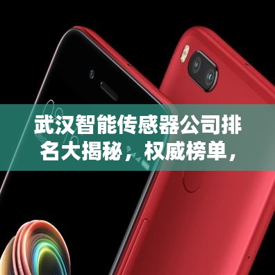 武漢智能傳感器公司排名大揭秘，權(quán)威榜單，不容錯(cuò)過！