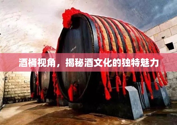 酒桶視角，揭秘酒文化的獨(dú)特魅力