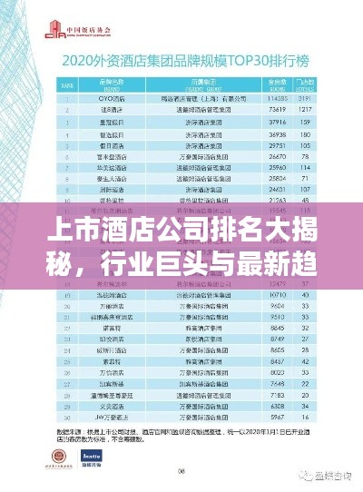 上市酒店公司排名大揭秘，行業(yè)巨頭與最新趨勢(shì)速覽