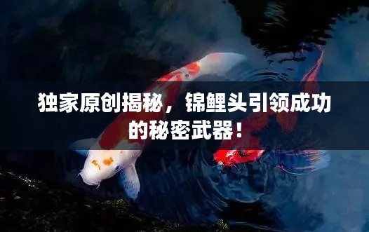 獨家原創(chuàng)揭秘，錦鯉頭引領成功的秘密武器！