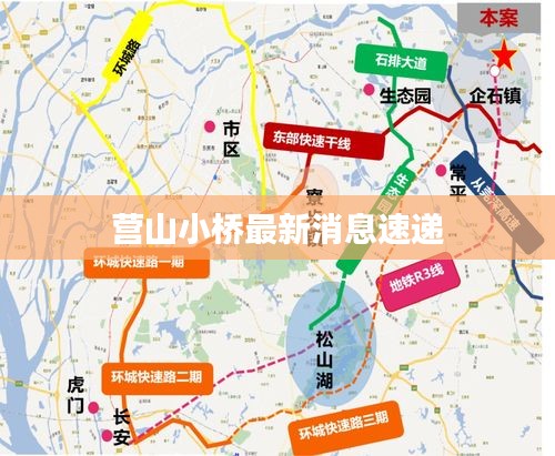 營山小橋最新消息速遞