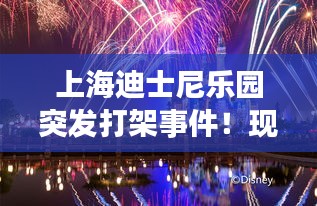 上海迪士尼樂園突發(fā)打架事件！現(xiàn)場混亂，引發(fā)網(wǎng)友熱議