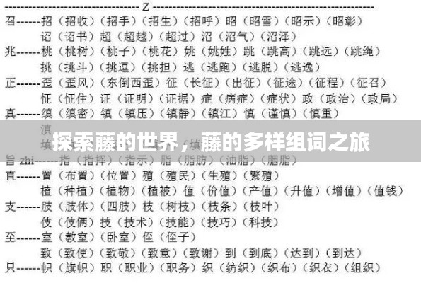 探索藤的世界，藤的多樣組詞之旅