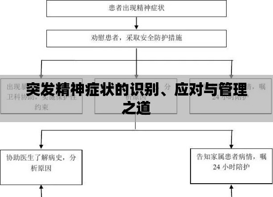 突發(fā)精神癥狀的識(shí)別、應(yīng)對(duì)與管理之道