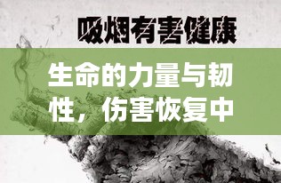 生命的力量與韌性，傷害恢復中的堅韌展現(xiàn)