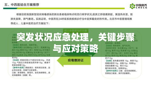 突發(fā)狀況應(yīng)急處理，關(guān)鍵步驟與應(yīng)對(duì)策略