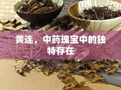 黃連，中藥瑰寶中的獨(dú)特存在