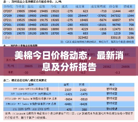 美棉今日價格動態(tài)，最新消息及分析報告