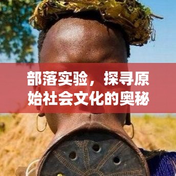 部落實驗，探尋原始社會文化的奧秘之旅