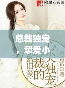 總裁獨寵，摯愛小寶貝