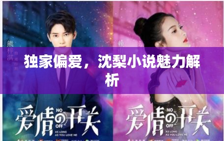 獨家偏愛，沈梨小說魅力解析