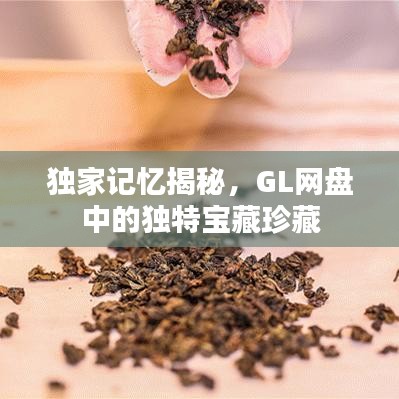 獨(dú)家記憶揭秘，GL網(wǎng)盤(pán)中的獨(dú)特寶藏珍藏