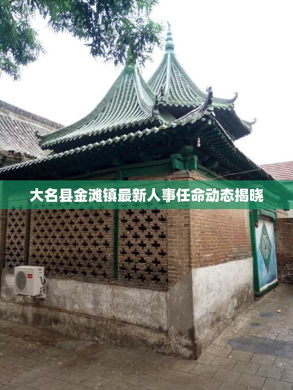 大名縣金灘鎮(zhèn)最新人事任命動態(tài)揭曉