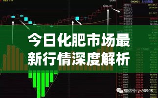今日化肥市場最新行情深度解析