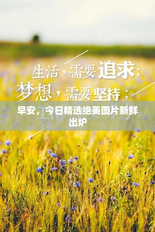 早安，今日精選絕美圖片新鮮出爐