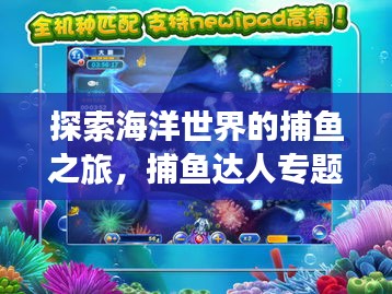 探索海洋世界的捕魚之旅，捕魚達(dá)人專題揭秘！