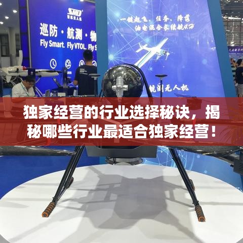 獨(dú)家經(jīng)營的行業(yè)選擇秘訣，揭秘哪些行業(yè)最適合獨(dú)家經(jīng)營！