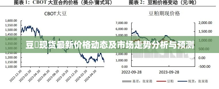 豆粨現(xiàn)貨最新價格動態(tài)及市場走勢分析與預(yù)測