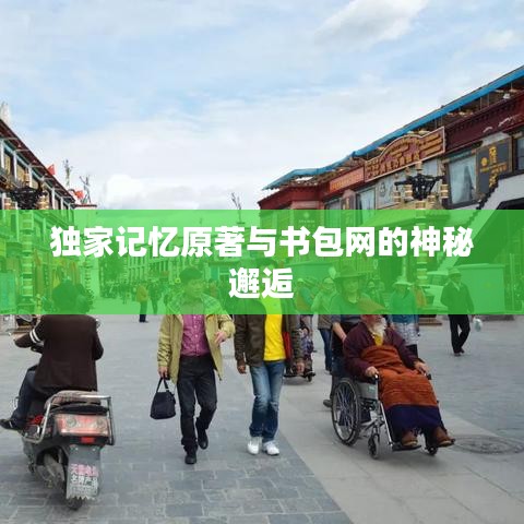 獨(dú)家記憶原著與書(shū)包網(wǎng)的神秘邂逅