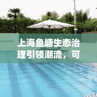 上海魚塘生態(tài)治理引領(lǐng)潮流，可持續(xù)發(fā)展成就今日頭條新聞