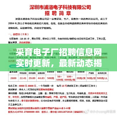 采育電子廠招聘信息網(wǎng)實時更新，最新動態(tài)揭秘