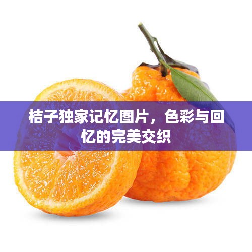 桔子獨家記憶圖片，色彩與回憶的完美交織