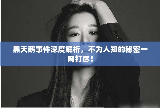 黑天鵝事件深度解析，不為人知的秘密一網(wǎng)打盡！