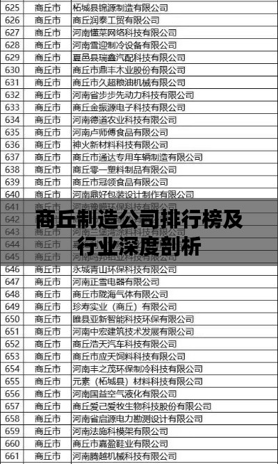 商丘制造公司排行榜及行業(yè)深度剖析